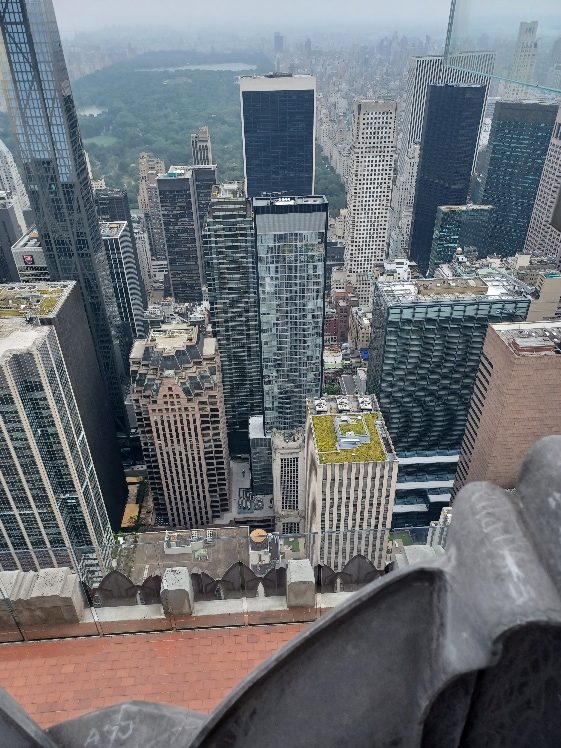 View from the Rockefeller Center including Central Park