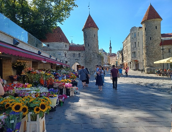 Viru Gate