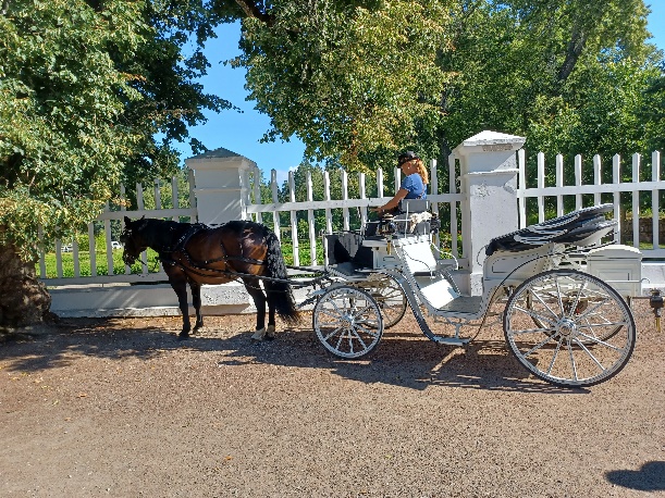 Free carriage rides around the Palmse Manor Estate