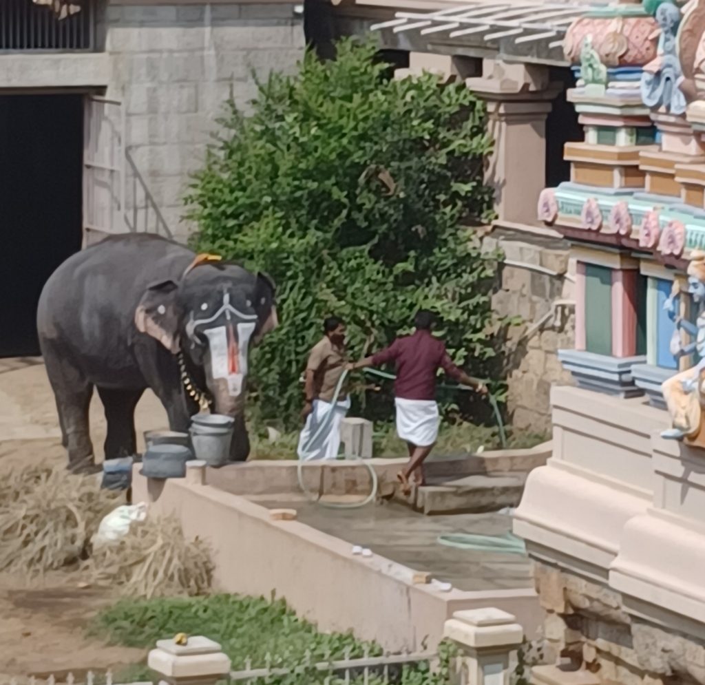 Ranganathaswarmy Temple 