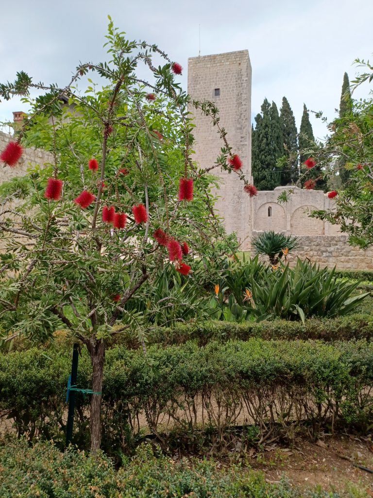 Benedictine Monastery, Lokrum