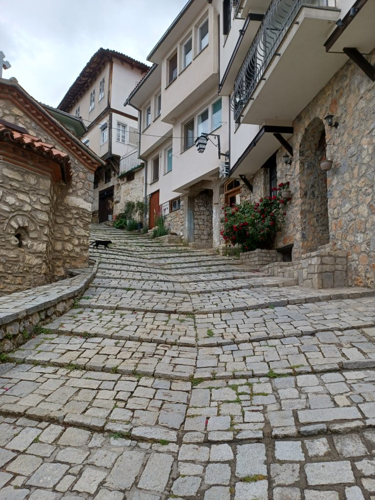 Back street with black cat, Ohrid