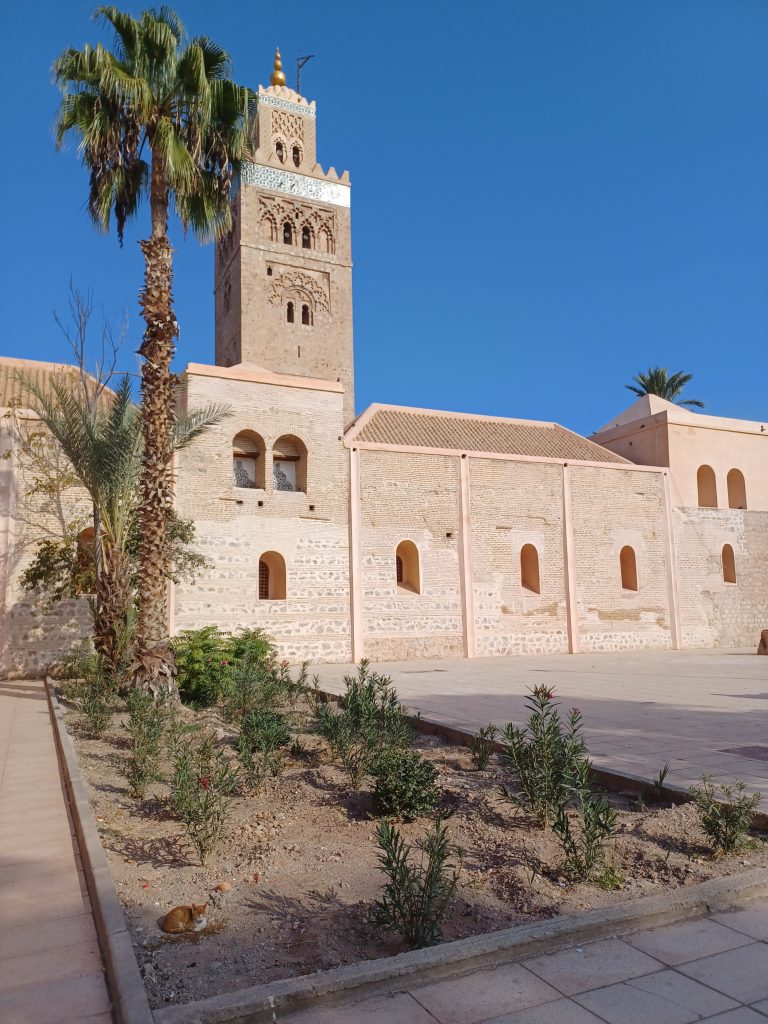 Koutoubia Mosque with cat front left