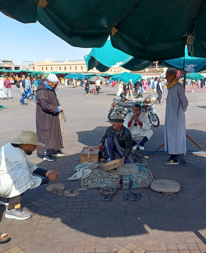 Snake charmers, Djemaa El Fna