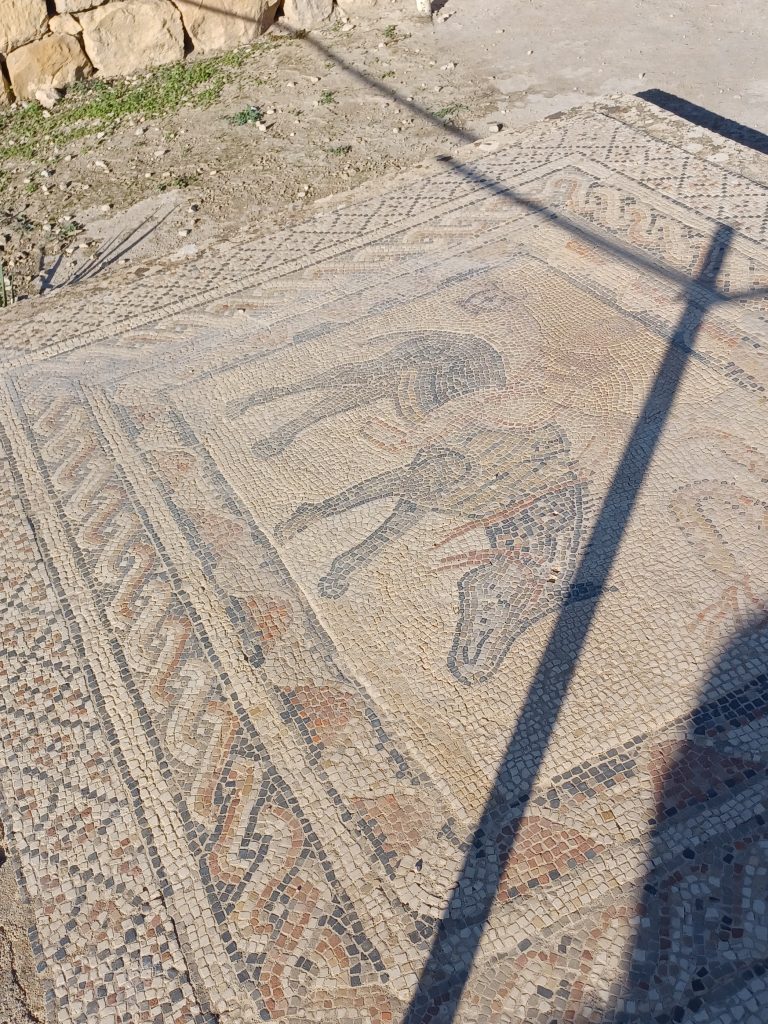 House of the Athlete, Volubilis