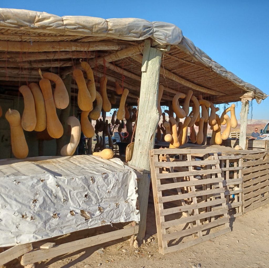 Gourds