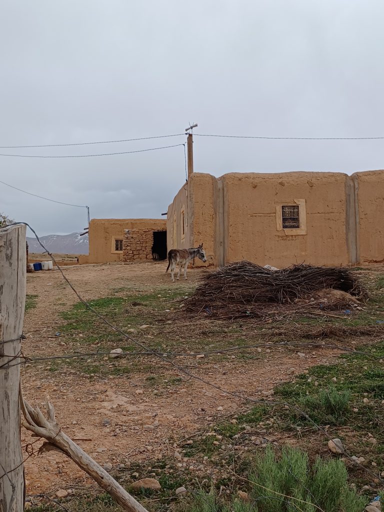Berber village scene