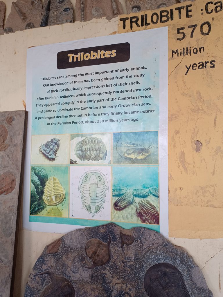 Trilobites