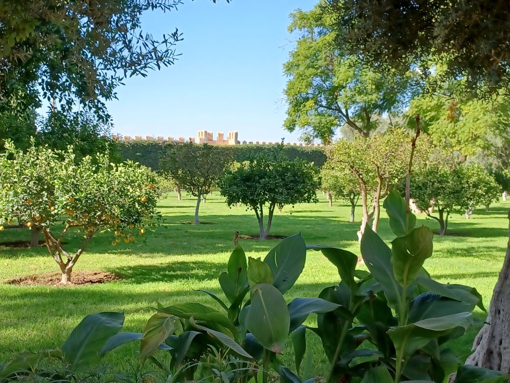 Mamounia Gardens