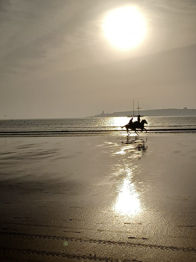 Galloping horses, Essaouira