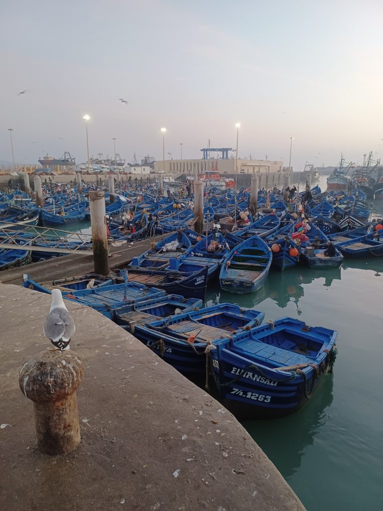 Boats in harbour, Essaouira
