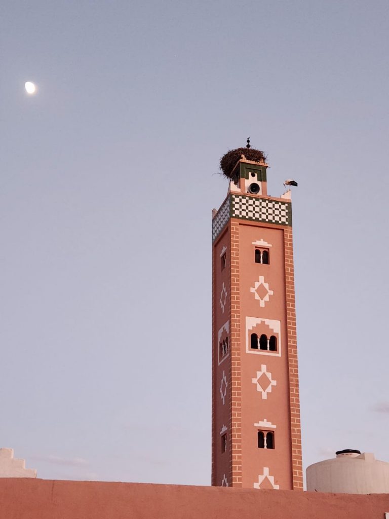 Stork atop the minaret, Ait Ben Haddou