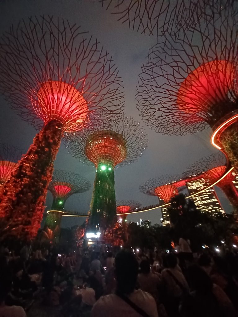 Super trees light show, Gardens by the Bay