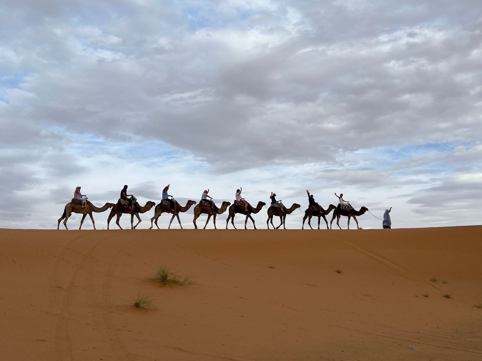 Top Travel Spots and Experiences, 2024