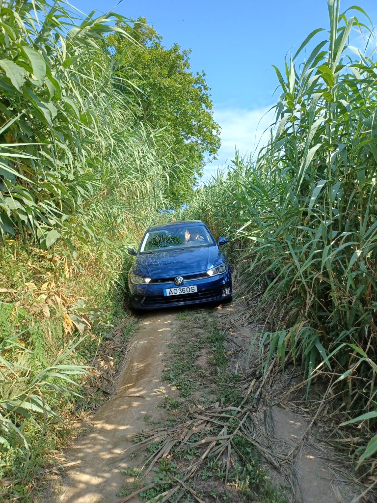 Off the beaten track, Sao Miguel
