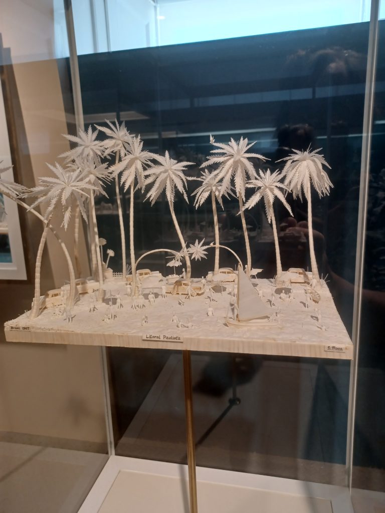 Fig tree pith models, Museum of Horta