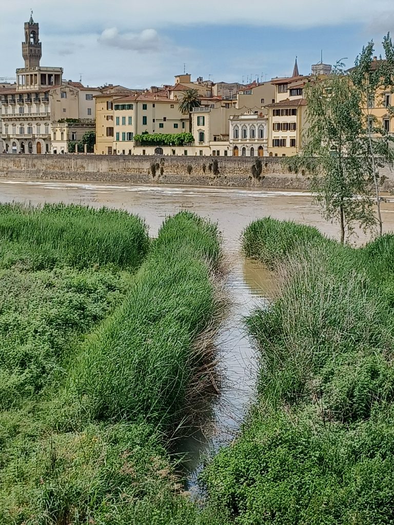 South bank of the Arno