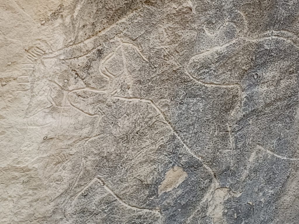 Bull shelter: bulls plus boat, Qobustan Petroglyph Reserve