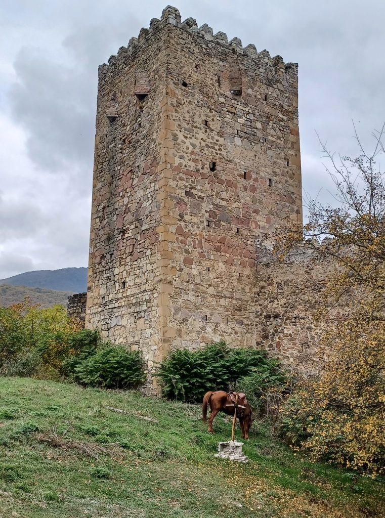 Ananuri fortress and horse