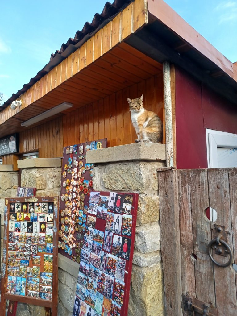 Souvenir stall with cat, Mtskheta
