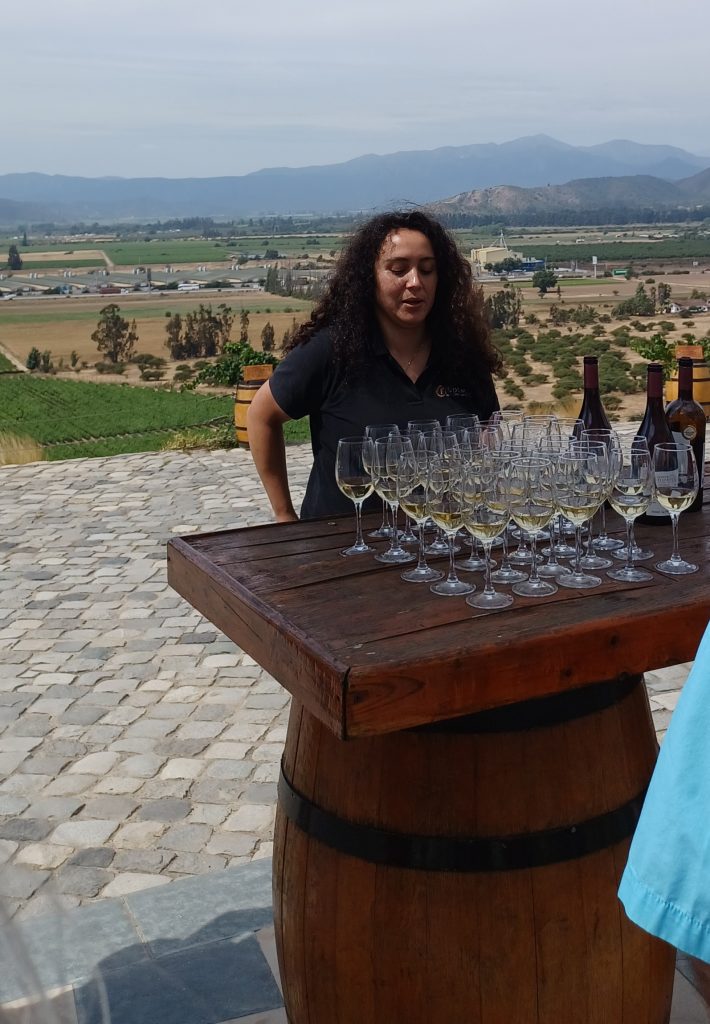 Wine tasting, Indomita Winery, Casablanca