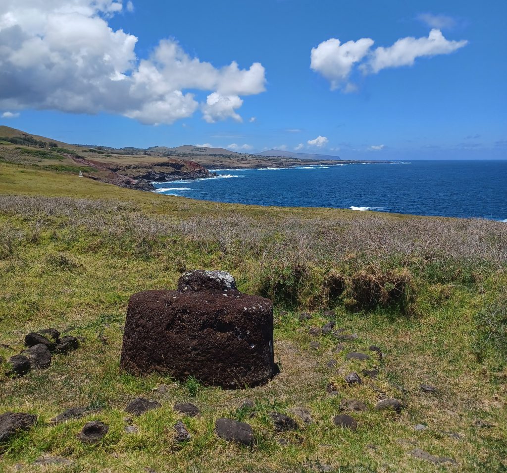 Topknot in a circle of stones