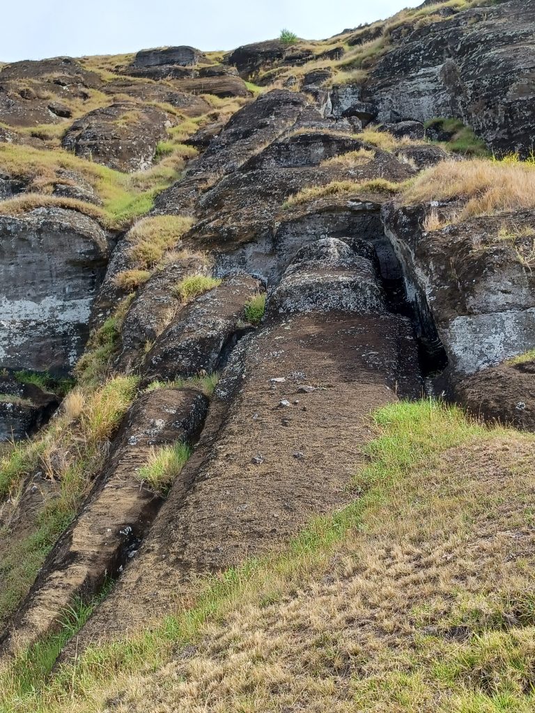 El Gigante, the largest moai ever carved, still in situ, at 65 feet long