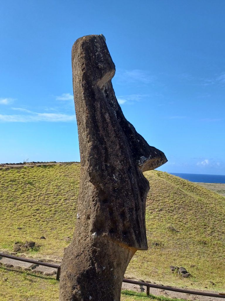 'Piropiro' with prominent nose.