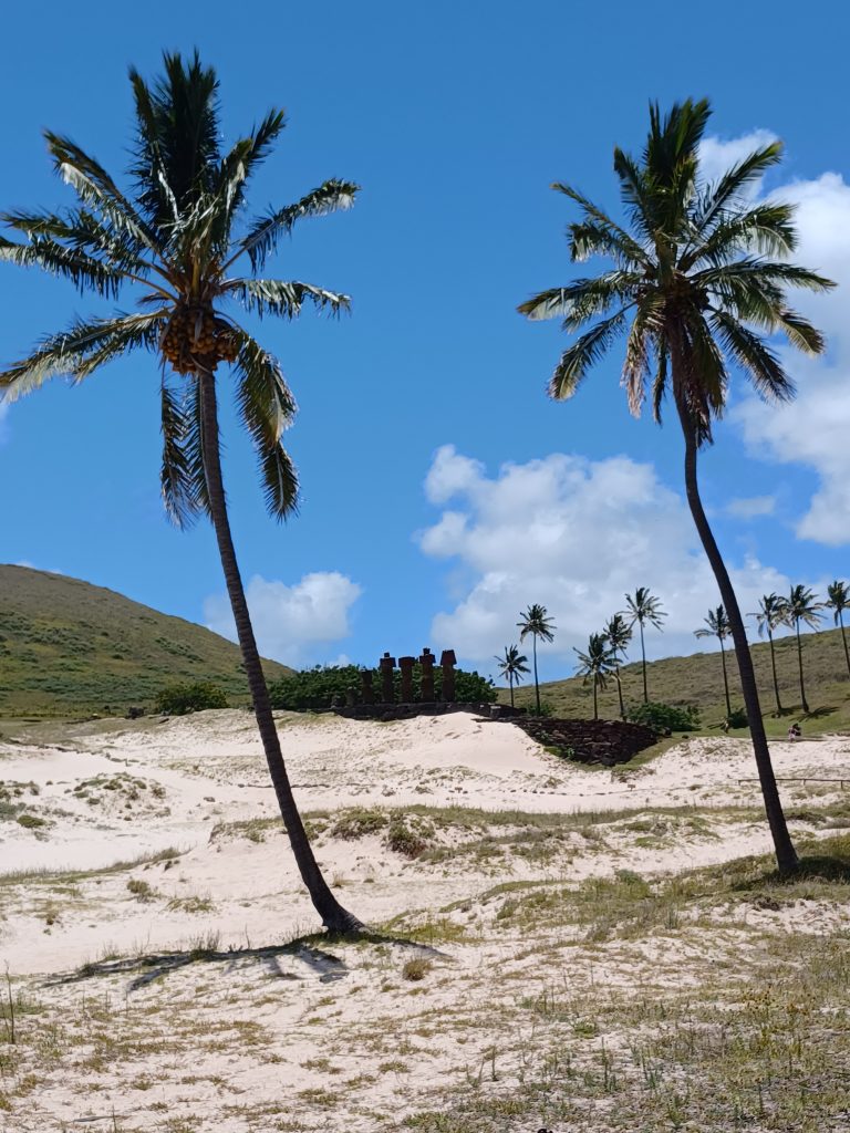 View of Anakena moai, Ahu Nau Nau, between two palm trees, Anakena beach