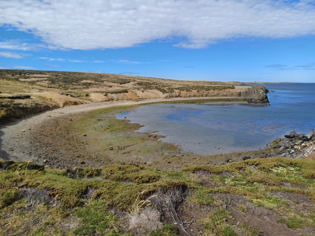 Fitzroy Beach