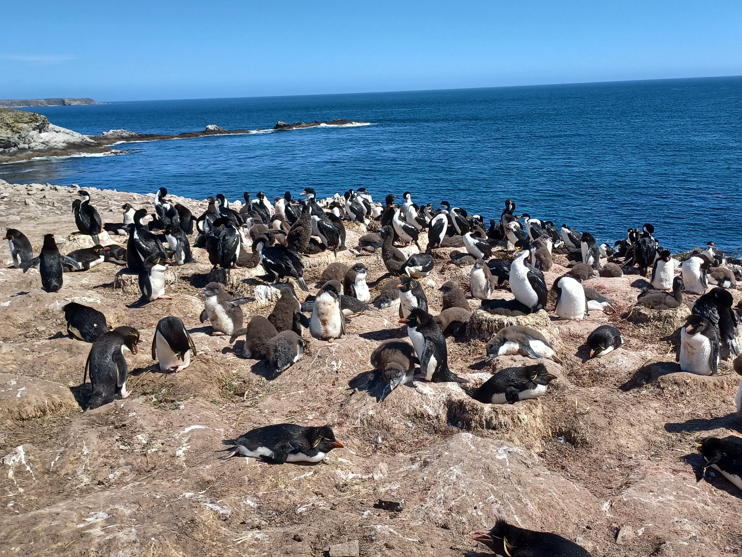 The Falkland Islands, Part 1