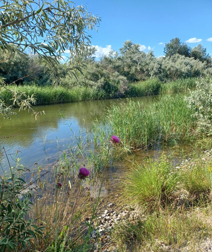 Sulina Branch, Sulina Beach, Danube Delta