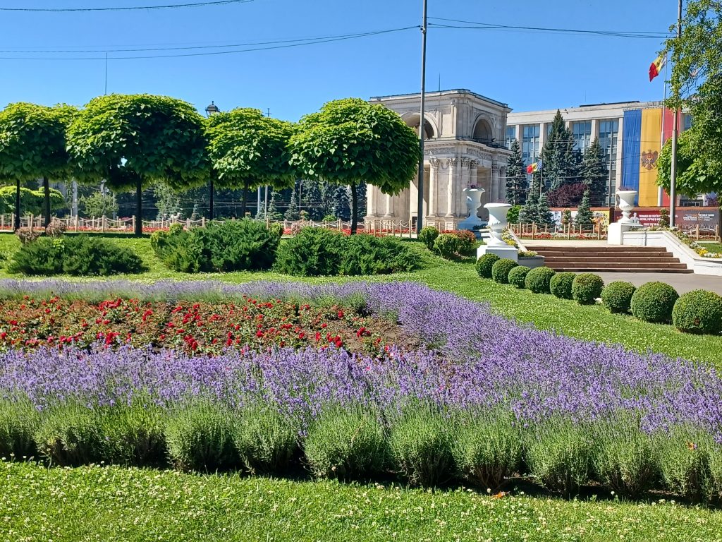 Flower borders, Chișinău